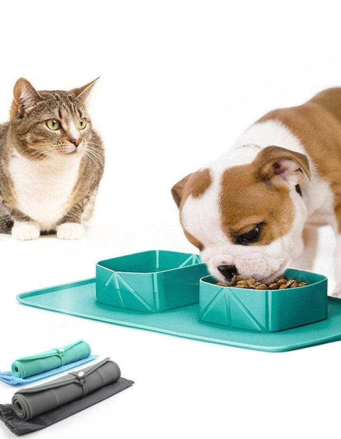 Pet Bowl Silicone Folding Pet Bowl